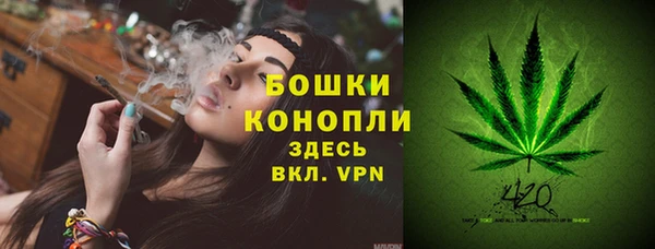 PSILOCYBIN Ростов