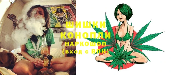 винт Абаза