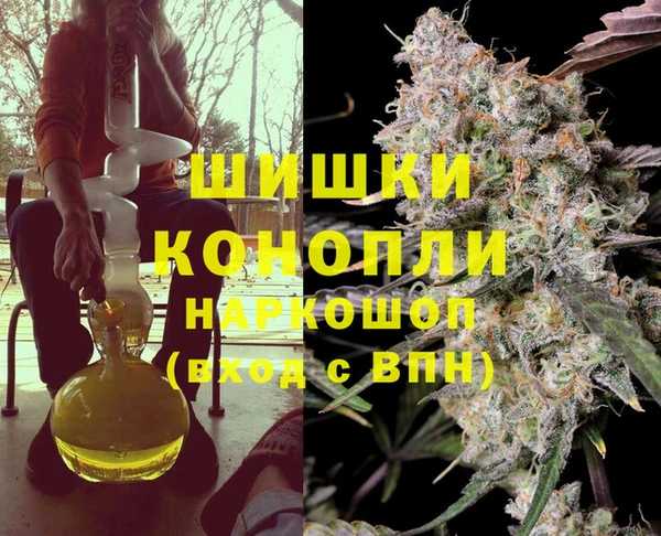 PSILOCYBIN Ростов
