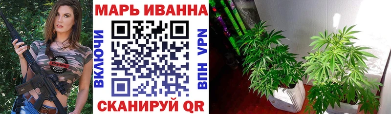 сайты даркнета Telegram  Дмитровск  Бошки Шишки OG Kush 